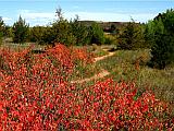 East Valley Trail