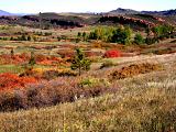 Fall Foliage And Hogbacks